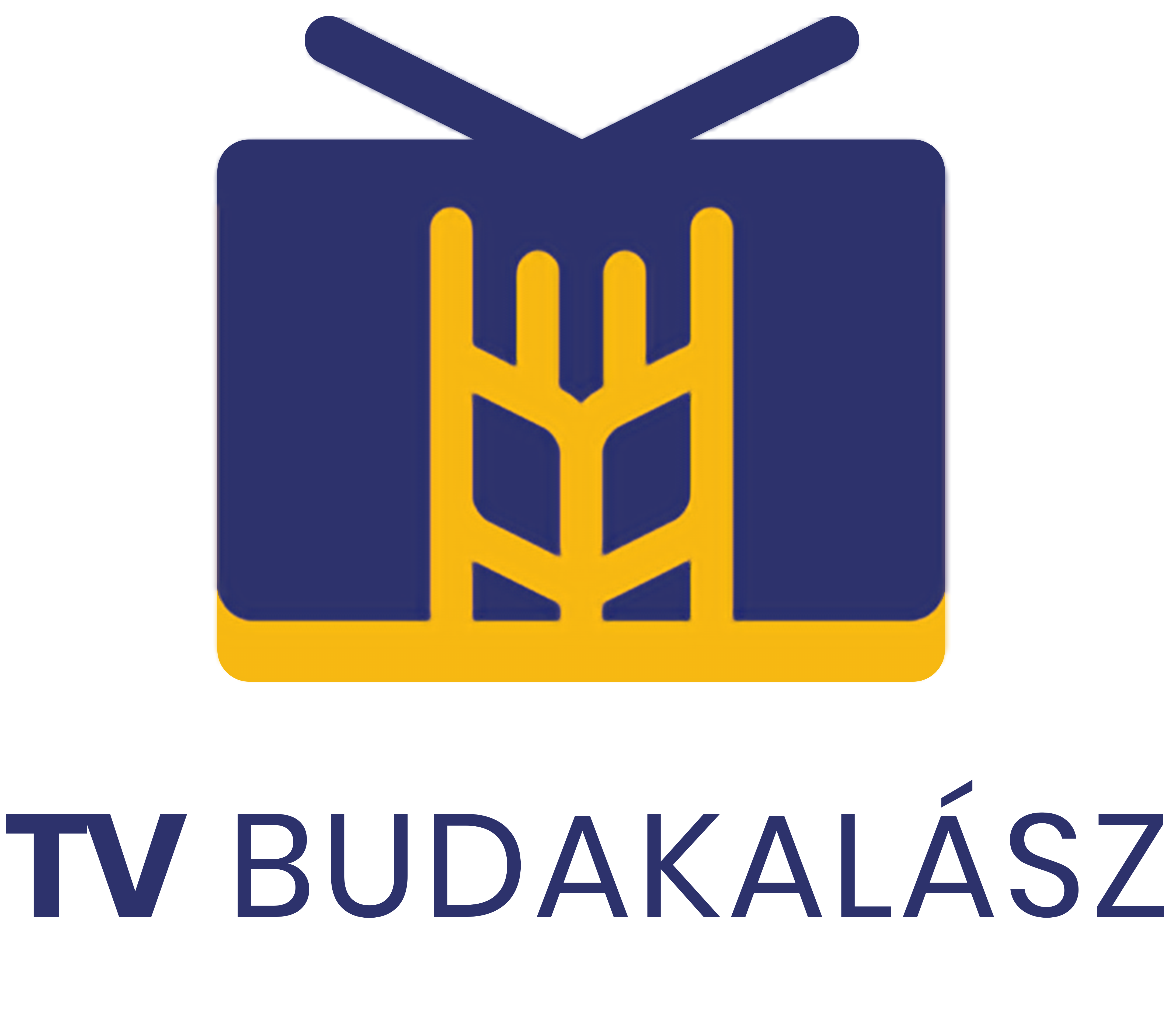 Budakalász TV logo